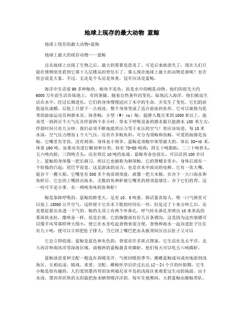 地球上现存的最大动物 蓝鲸