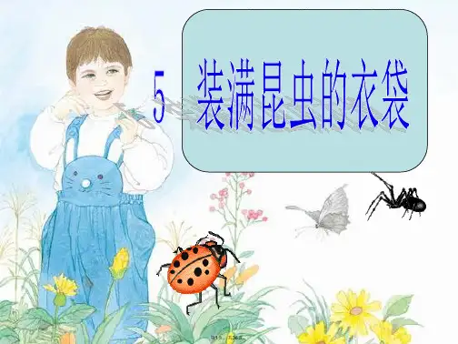 5-装满昆虫的衣袋课件