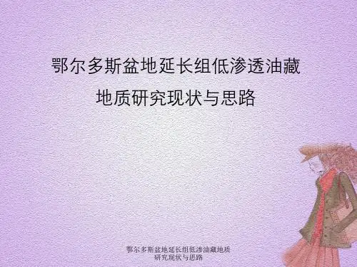鄂尔多斯盆地延长组低渗油藏地质研究现状与思路