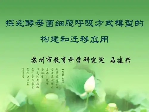 探究酵母菌细胞呼吸方式模型的构建和迁移运用-2