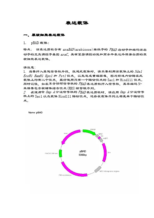 几种表达载体