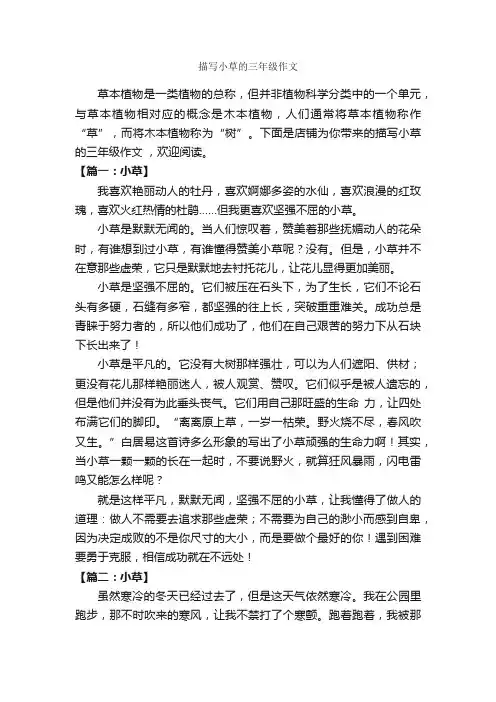 描写小草的三年级作文