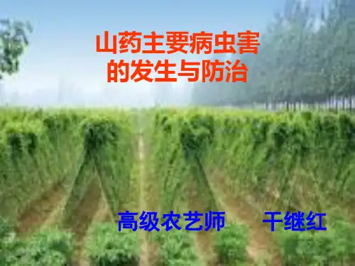 山药主要病虫害的发生与防治