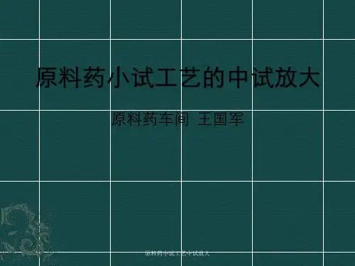 原料药小试工艺中试放大