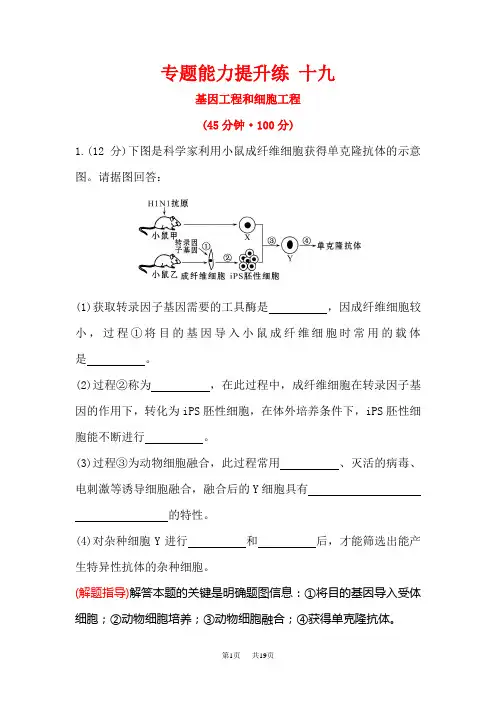 高考生物二轮复习 专题能力提升练 十九 1.18基因工程和细胞工程 含答案