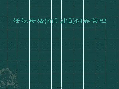 妊娠母猪饲养管理