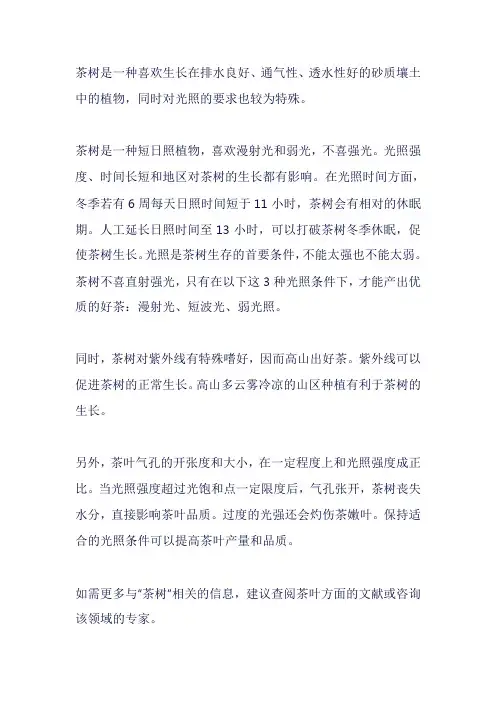 茶树光照要求