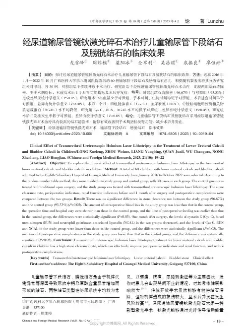 211276907_经尿道输尿管镜钬激光碎石术治疗儿童输尿管下段结石及膀胱结石的临床效果