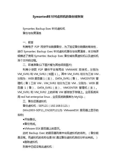 SymantecBE针对虚拟机的备份域恢复