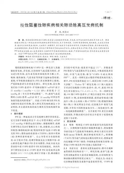 慢性阻塞性肺疾病相关肺动脉高压发病机制