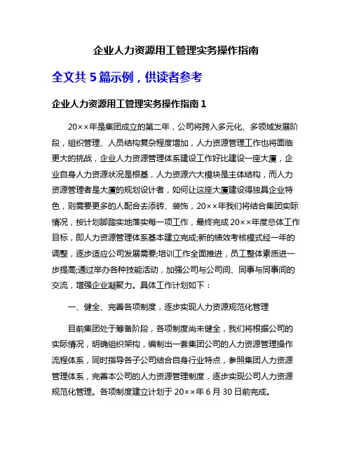 企业人力资源用工管理实务操作指南