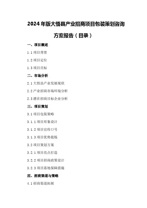 2024年版大悟县产业招商项目包装策划咨询方案报告