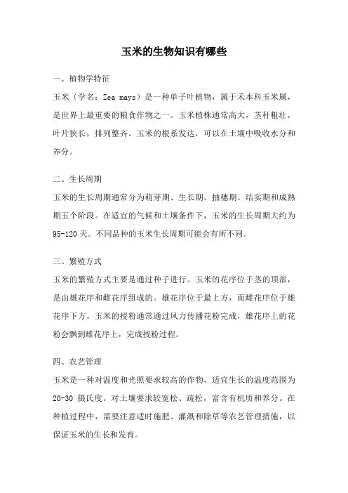 玉米的生物知识有哪些