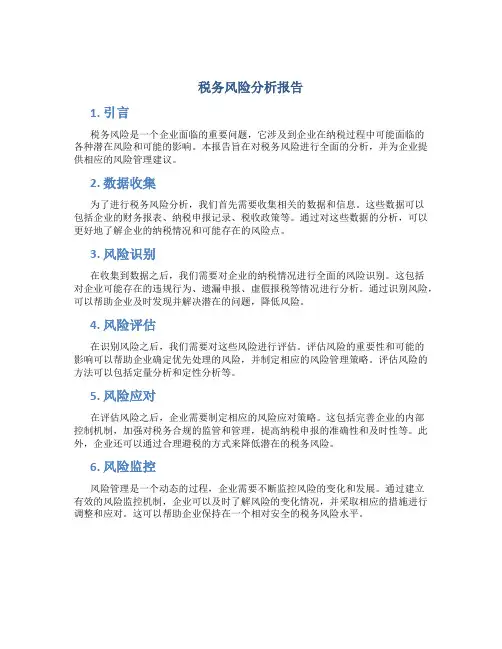 税务风险分析报告