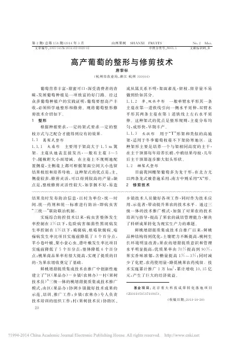 高产葡萄的整形与修剪技术