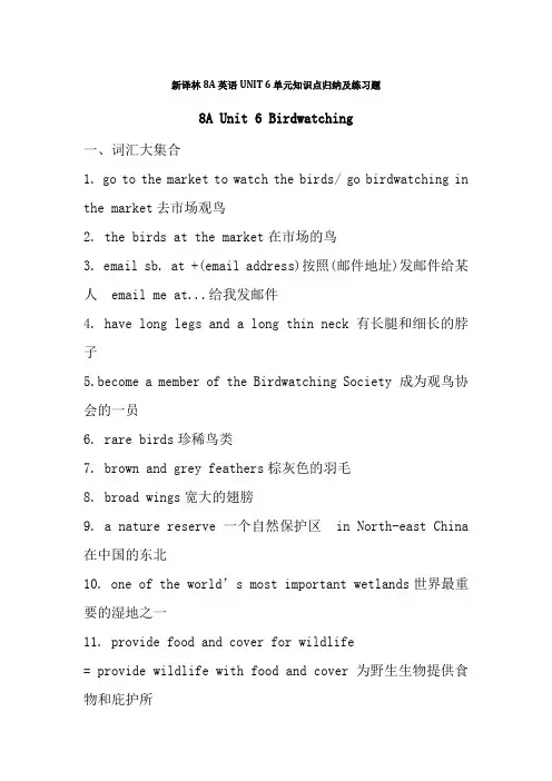 新译林8A英语UNIT6单元知识点归纳及练习题含答案