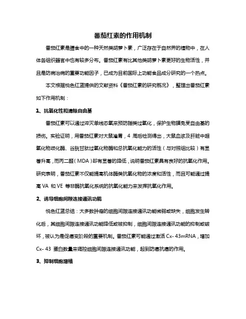 番茄红素的作用机制
