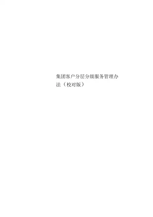 集团客户分层分级服务管理办法