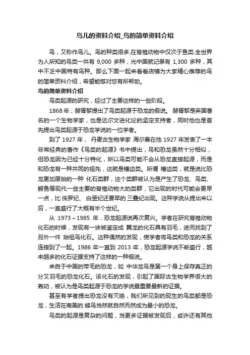 鸟儿的资料介绍_鸟的简单资料介绍