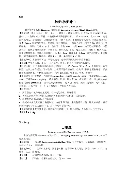 蔷薇科