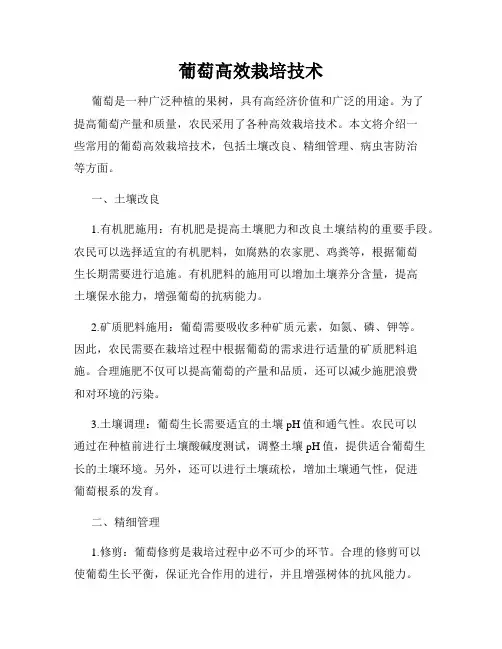 葡萄高效栽培技术