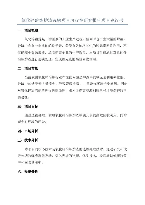 氧化锌冶炼炉渣选铁项目可行性研究报告项目建议书