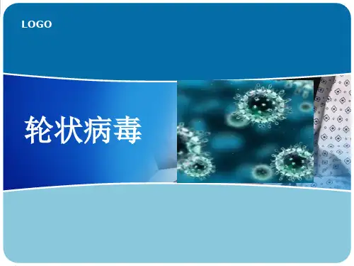 轮状病毒ppt课件