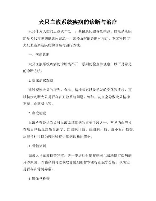 犬只血液系统疾病的诊断与治疗