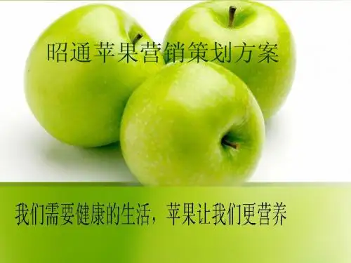 苹果营销策划