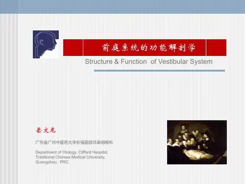 岳文龙《前庭系统的功能解剖学》听力大讲堂完整版