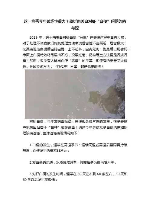 这一病害今年破坏性很大？简析南美白对虾“白便”问题的防与控