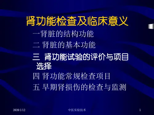 肾功能检查PPT参考课件