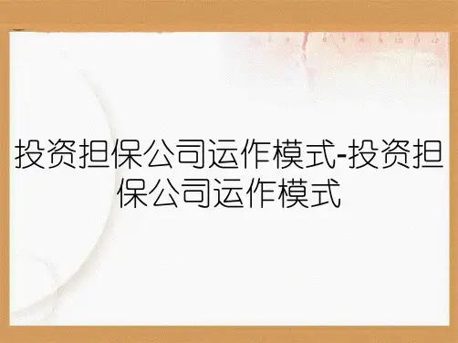 投资担保公司运作模式-投资担保公司运作模式