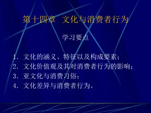 消费者行为学-第十四章  文化与消费者行为