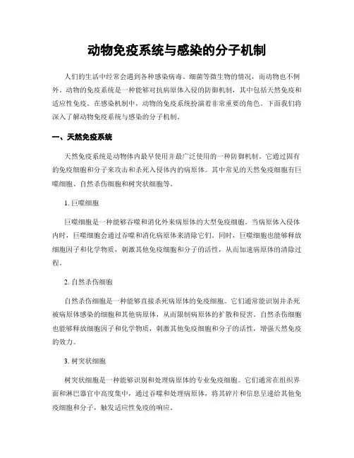 动物免疫系统与感染的分子机制