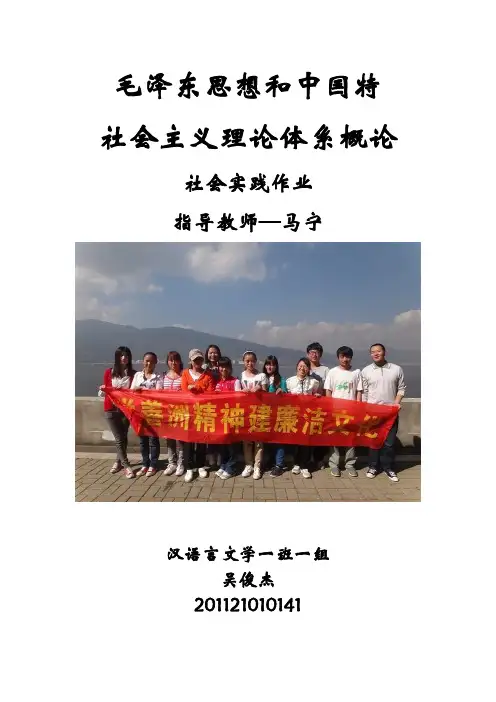 关于滇池污染调研报告