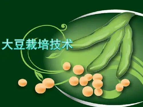 大豆栽培技术