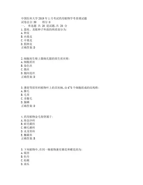 中国医科大学考试《药用植物学》考查课试题