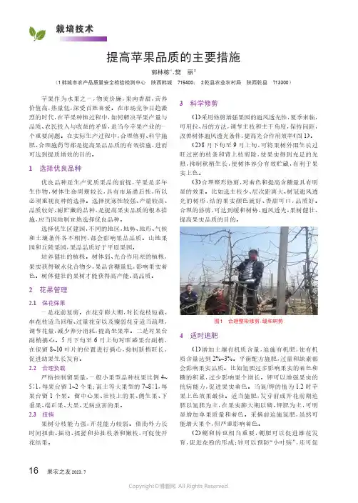 提高苹果品质的主要措施