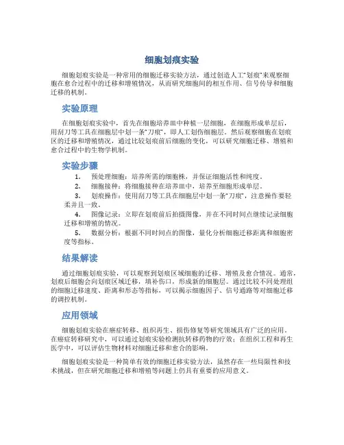细胞划痕实验