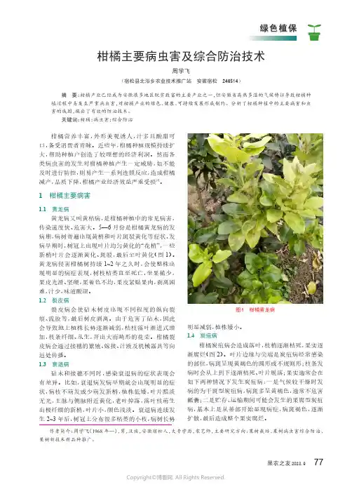 柑橘主要病虫害及综合防治技术