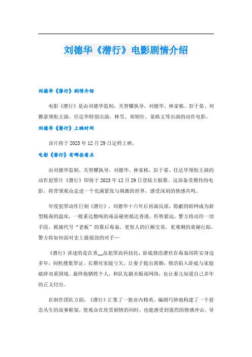 刘德华《潜行》电影剧情介绍