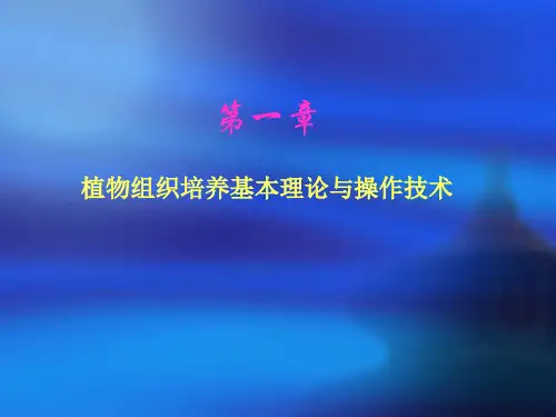 植物组织培养基本理论与操作技术(PPT 42页)