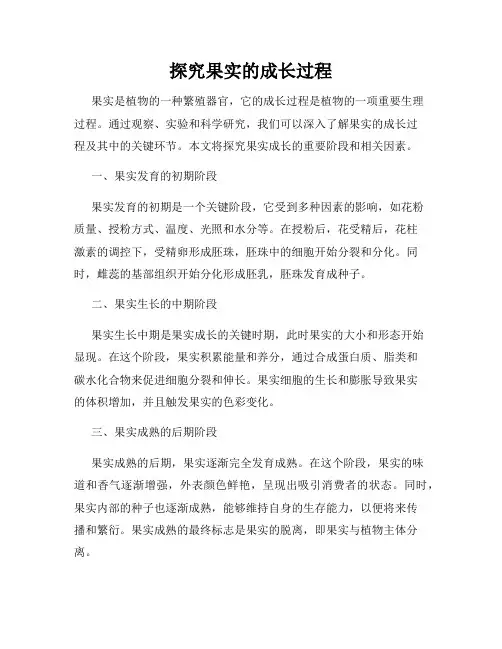 探究果实的成长过程