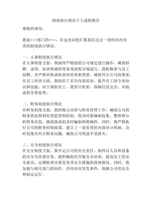 制度执行情况个人述职报告