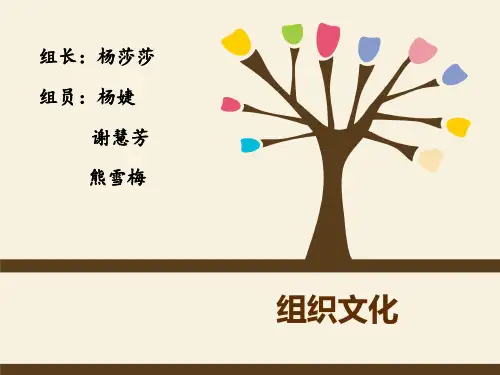 组织设计-组织文化概述(PPT36页)