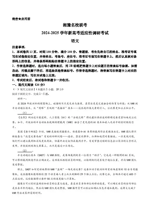 河南省湘豫名校2025届高三上学期第一次联考(一模)语文试卷(含解析)