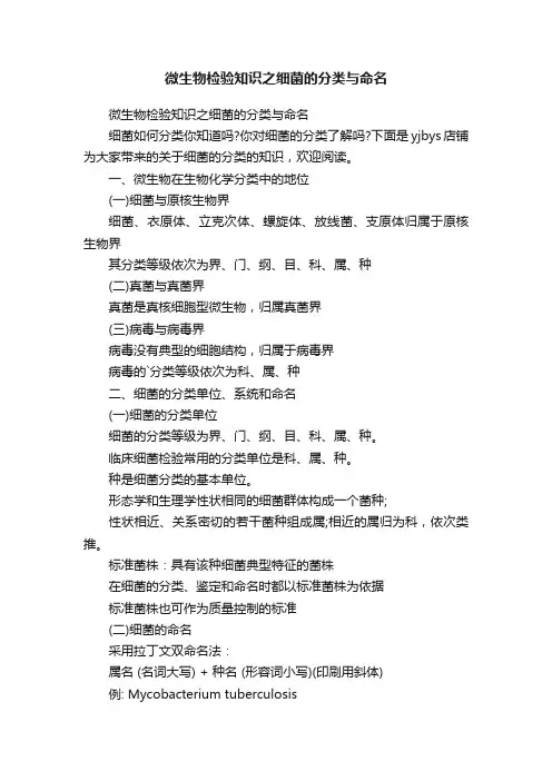 微生物检验知识之细菌的分类与命名