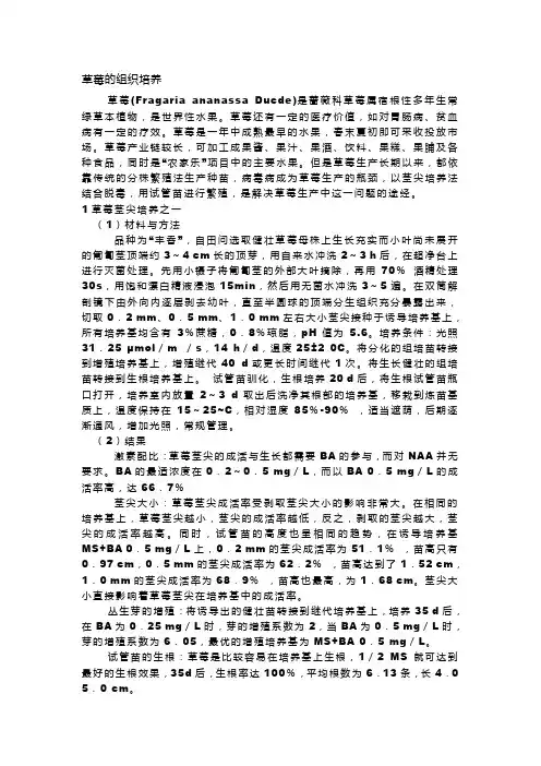 草莓的组织培养