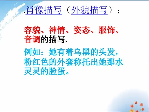 神态描写和外貌描写的区别优秀课件PPT